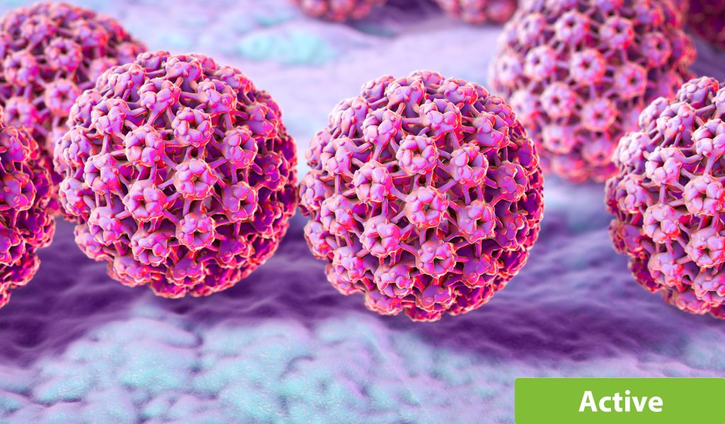 Dr. KopciukThe B2B research program established a cohort newly diagnosed breast cancer cases with the objective of studying how breast cancer metastasizes to the bone. This cohort study has involved several sub-projects including one currently led by Dr. Kopciuk to investigate the impact of vitamin D and markers of inflammation in breast cancer metastases.  Other projects…