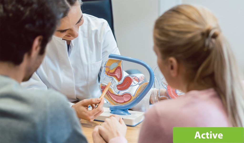 Dr. Fidler-BenaoudiaAlthough oncofertility has recently been established as a priority component of cancer care in Canada, ...